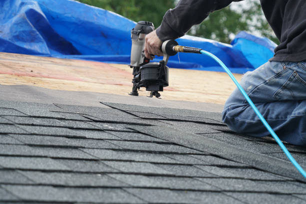 Best Roof Moss and Algae Removal  in Miller, SD